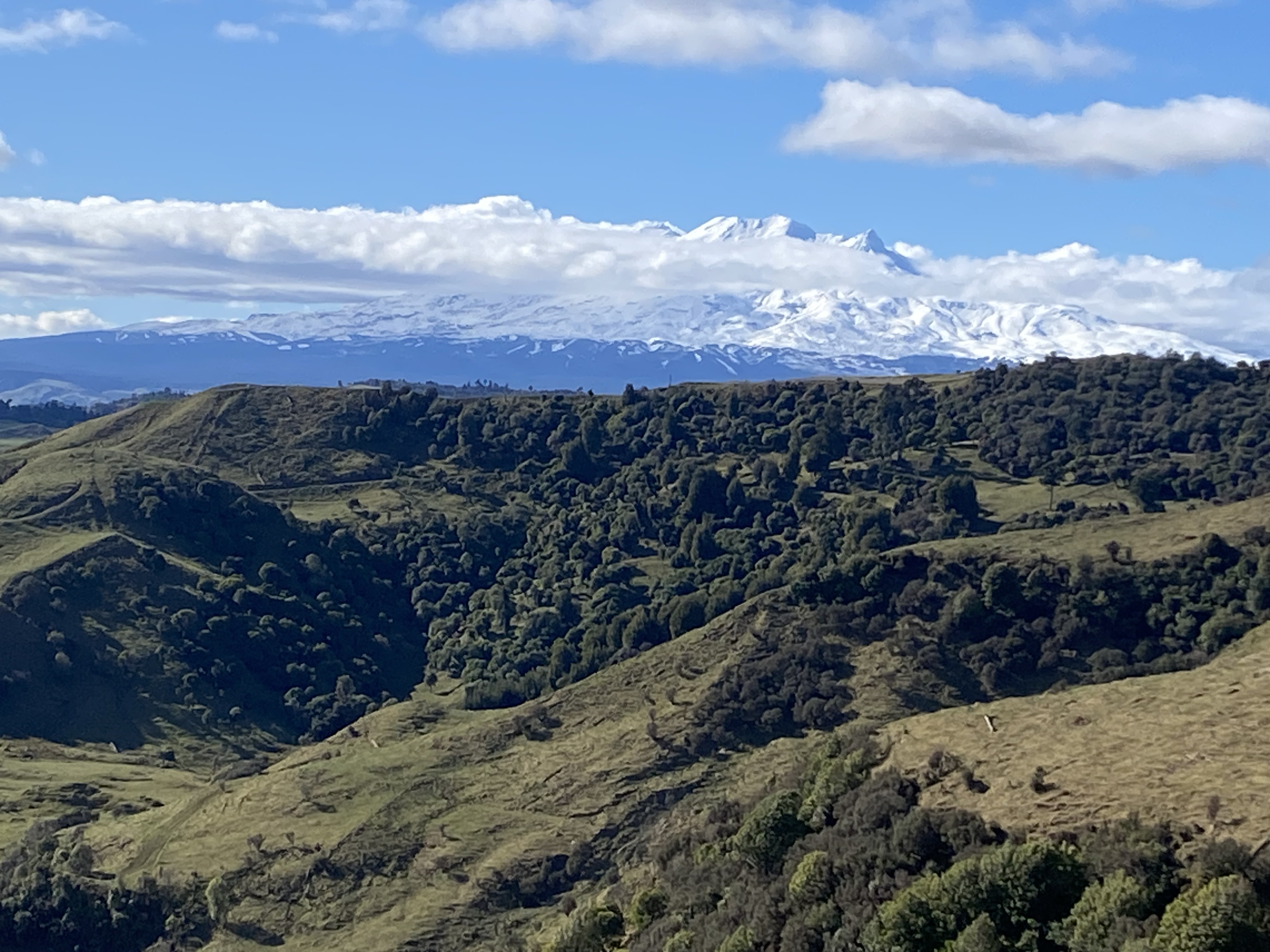 Name:  IMG_5787.jpeg
Views: 307
Size:  1.57 MB