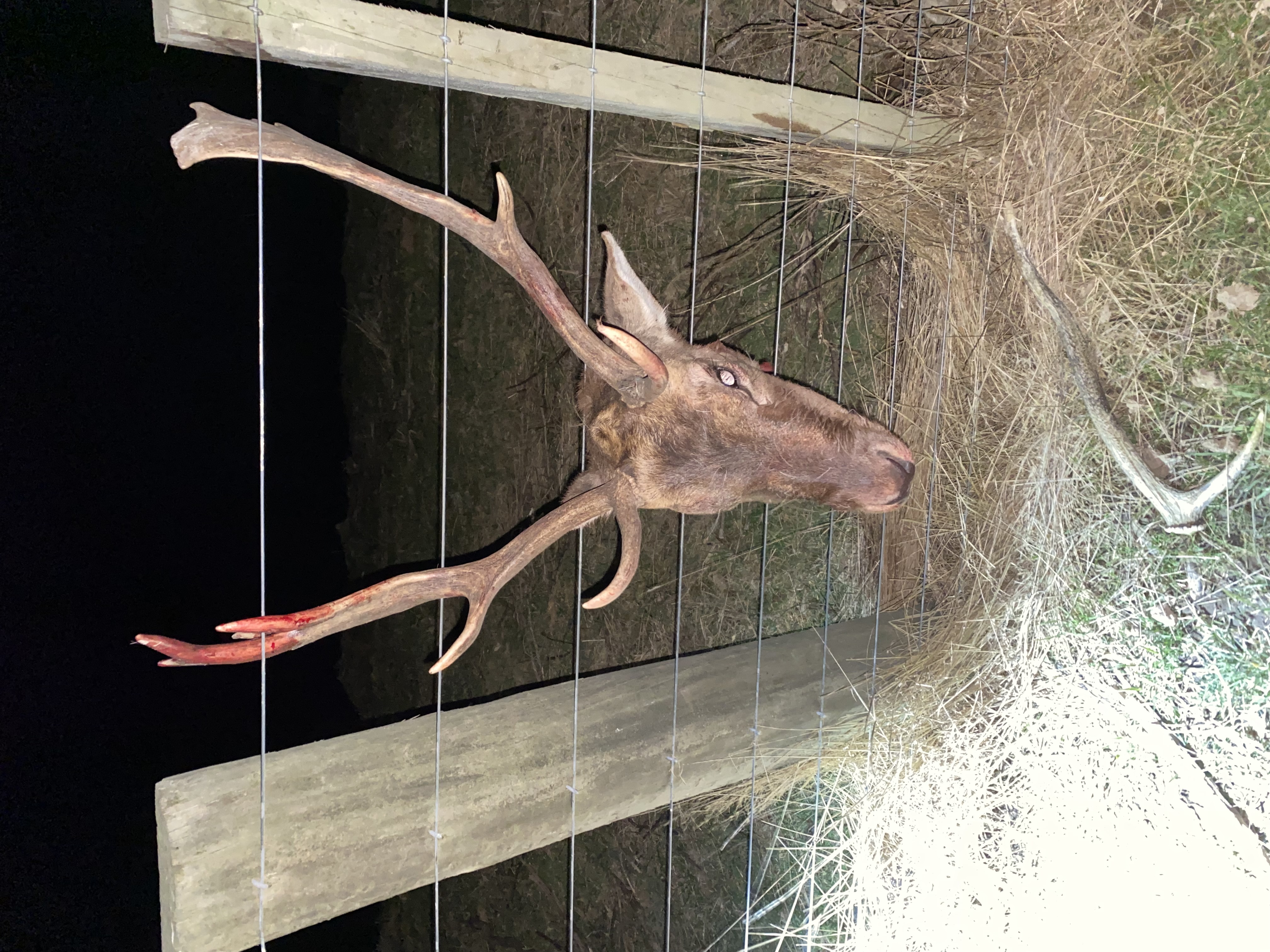 Name:  IMG_5793.jpeg
Views: 326
Size:  2.84 MB