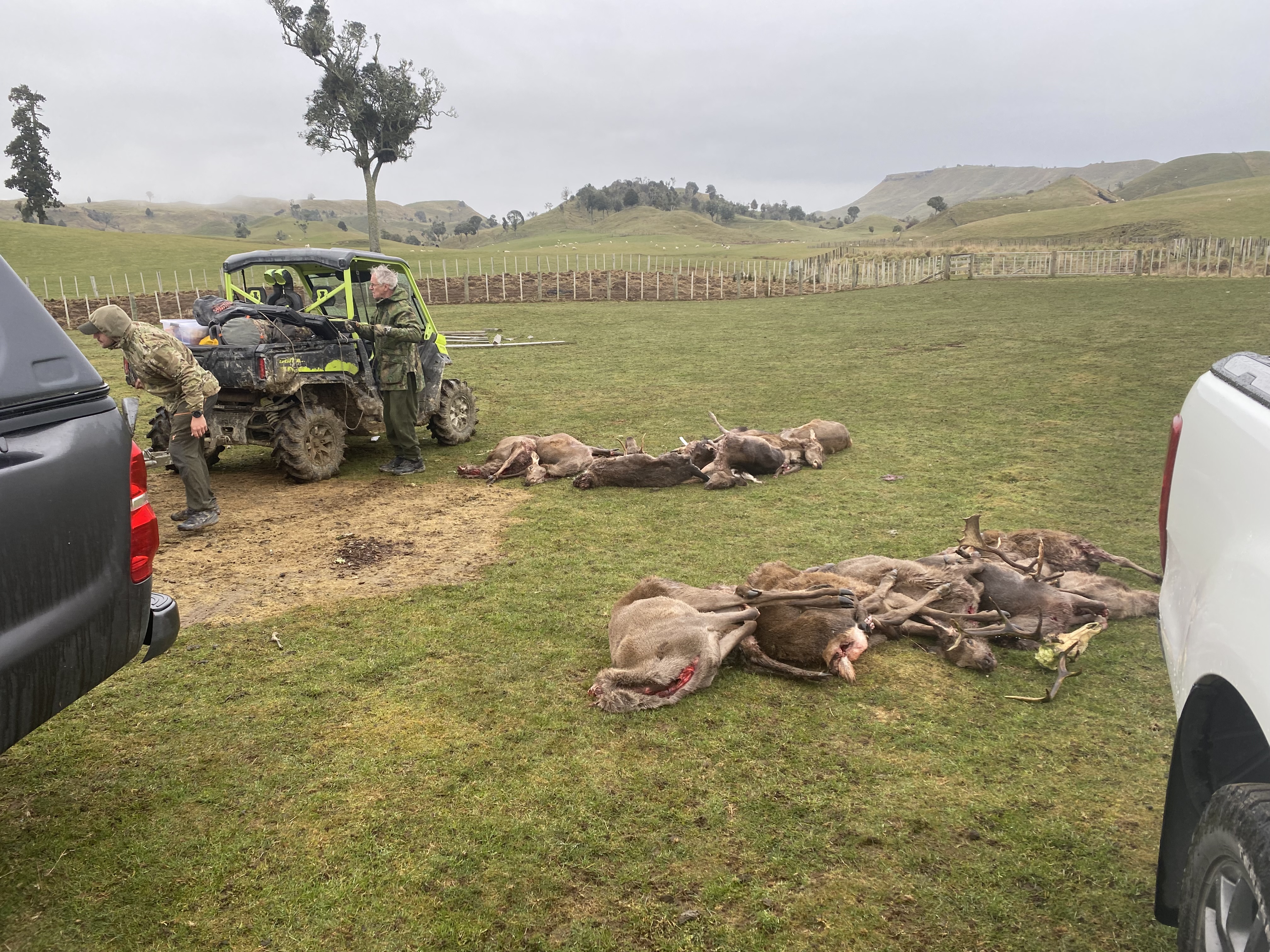 Name:  IMG_5802.jpeg
Views: 333
Size:  3.76 MB