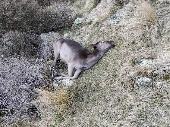 Name:  imagejpeg_2 2.JPG
Views: 207
Size:  156.2 KB