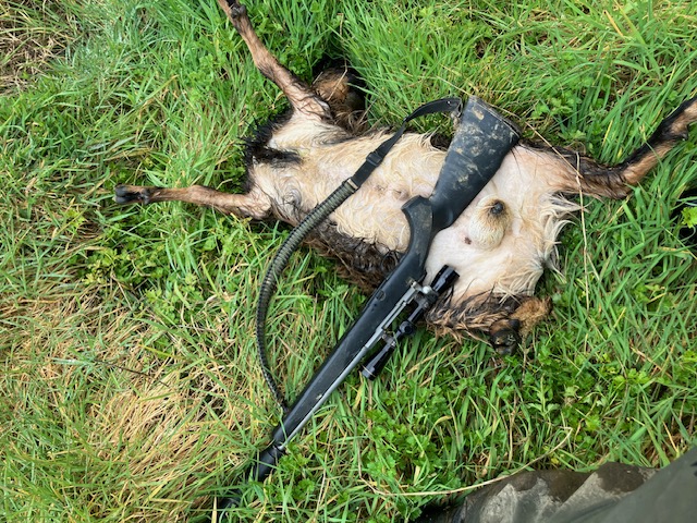 Name:  image0 (23).jpeg
Views: 1305
Size:  231.7 KB