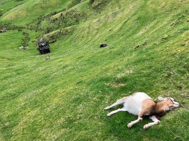 Name:  image1 (16).jpeg
Views: 1180
Size:  163.8 KB