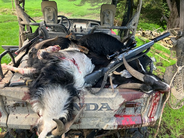 Name:  image1 (22).jpeg
Views: 382
Size:  159.1 KB