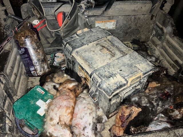 Name:  image0 (33).jpeg
Views: 270
Size:  172.6 KB