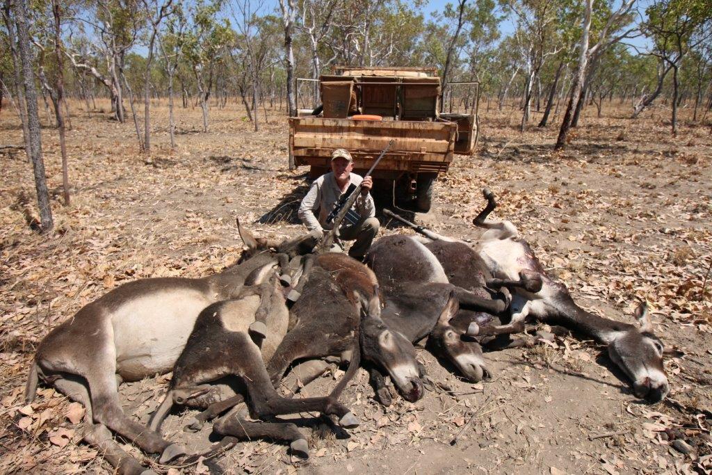 Name:  2014 NT Hunt 025.jpg
Views: 2326
Size:  206.3 KB