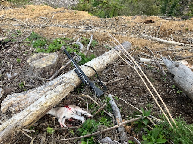 Name:  image0 (36).jpeg
Views: 216
Size:  186.0 KB