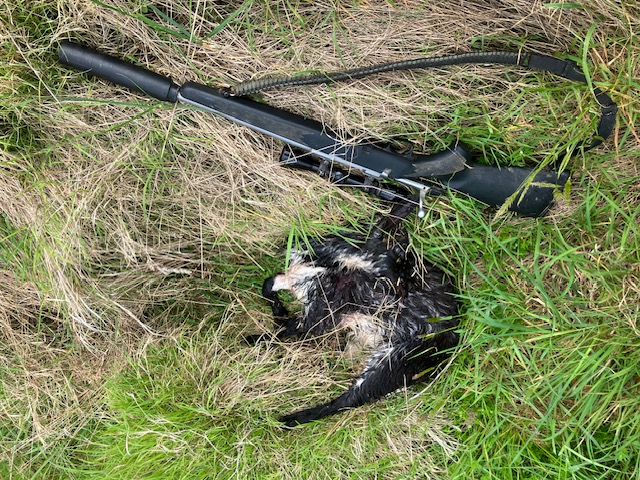 Name:  image0 (37).jpeg
Views: 168
Size:  213.5 KB