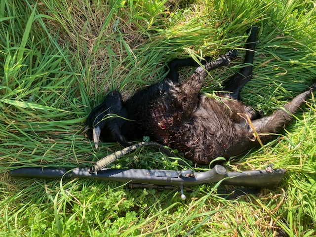 Name:  image1 (26).jpeg
Views: 164
Size:  217.5 KB