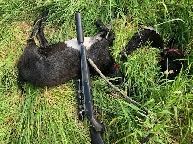 Name:  image2 (9).jpeg
Views: 161
Size:  223.6 KB