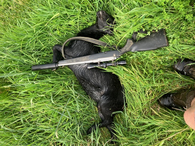 Name:  image3 (3).jpeg
Views: 158
Size:  223.8 KB