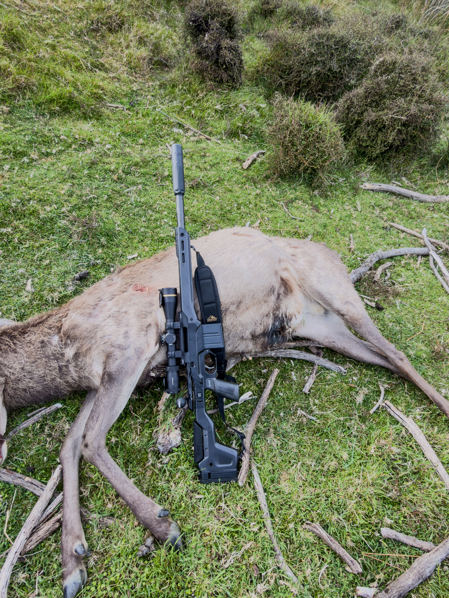 Name:  IMG_2113.jpeg
Views: 456
Size:  7.87 MB