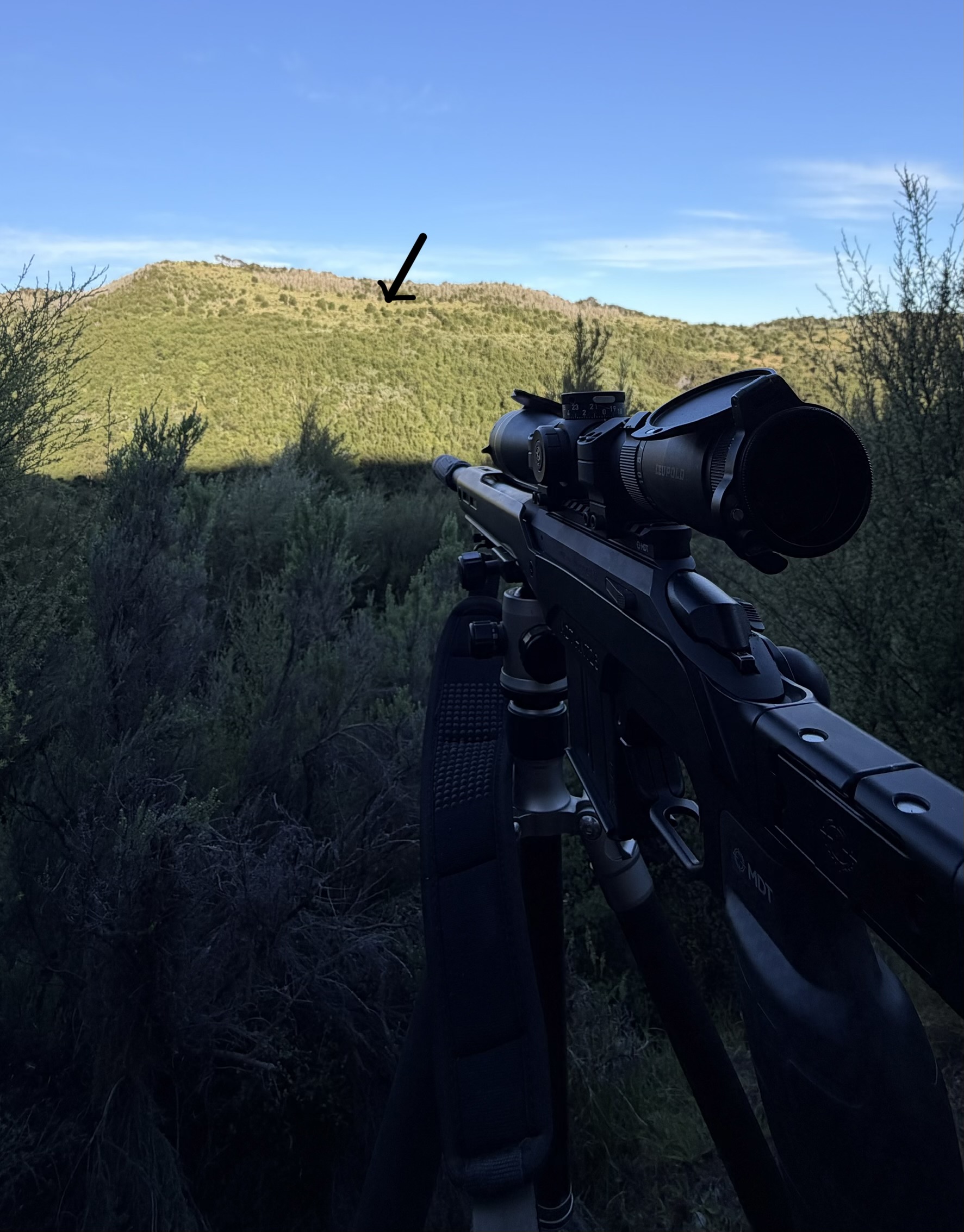 Name:  FullSizeRender.jpeg
Views: 438
Size:  919.2 KB