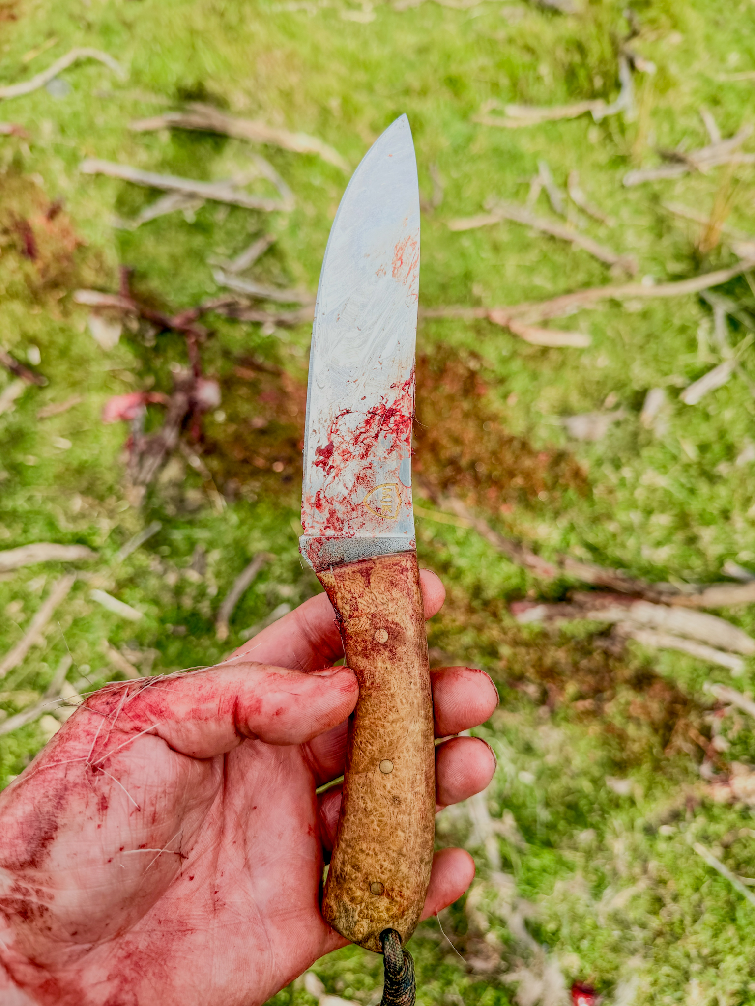 Name:  IMG_2115.jpeg
Views: 452
Size:  4.35 MB