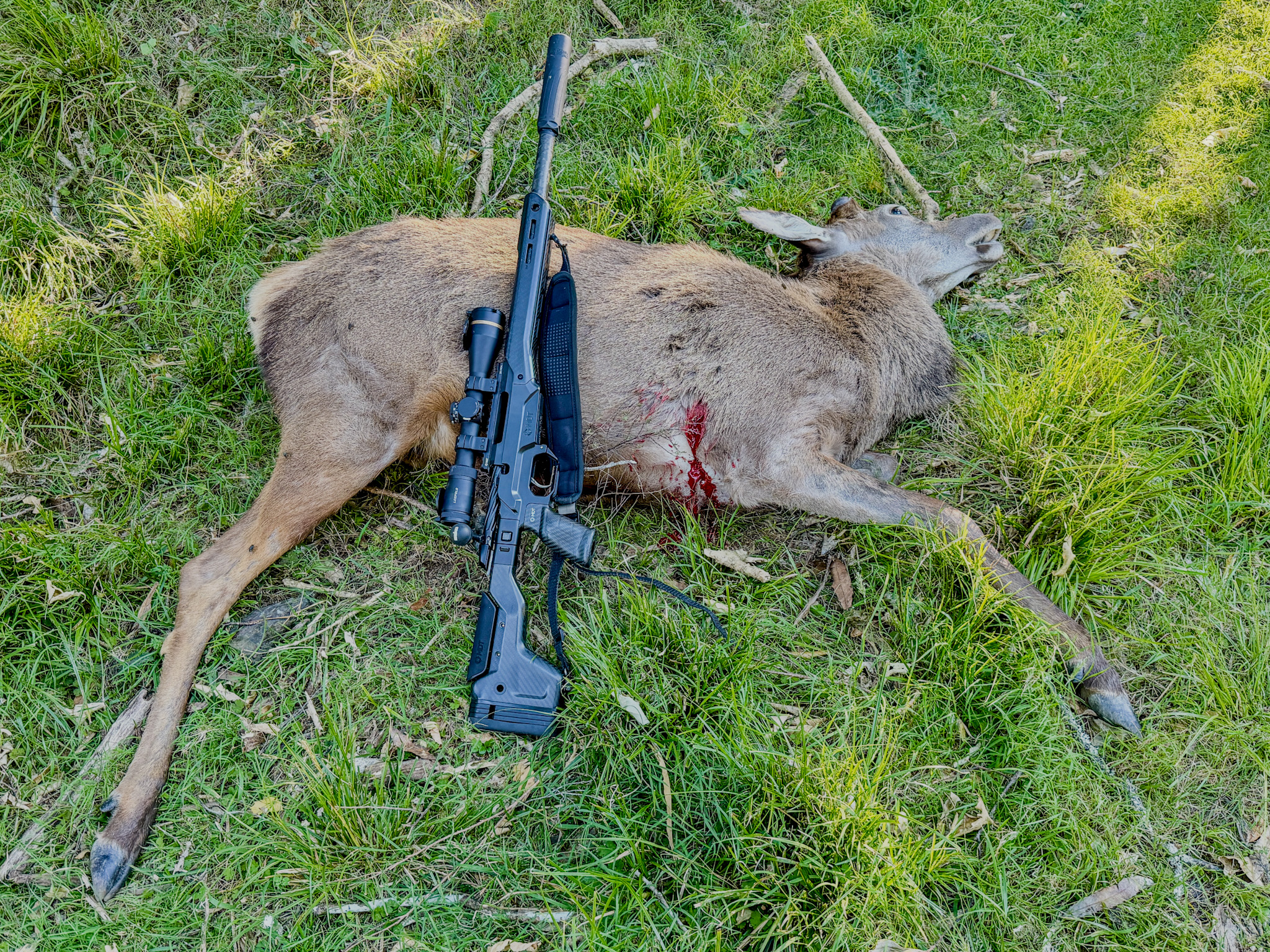 Name:  IMG_2116.jpeg
Views: 452
Size:  4.75 MB