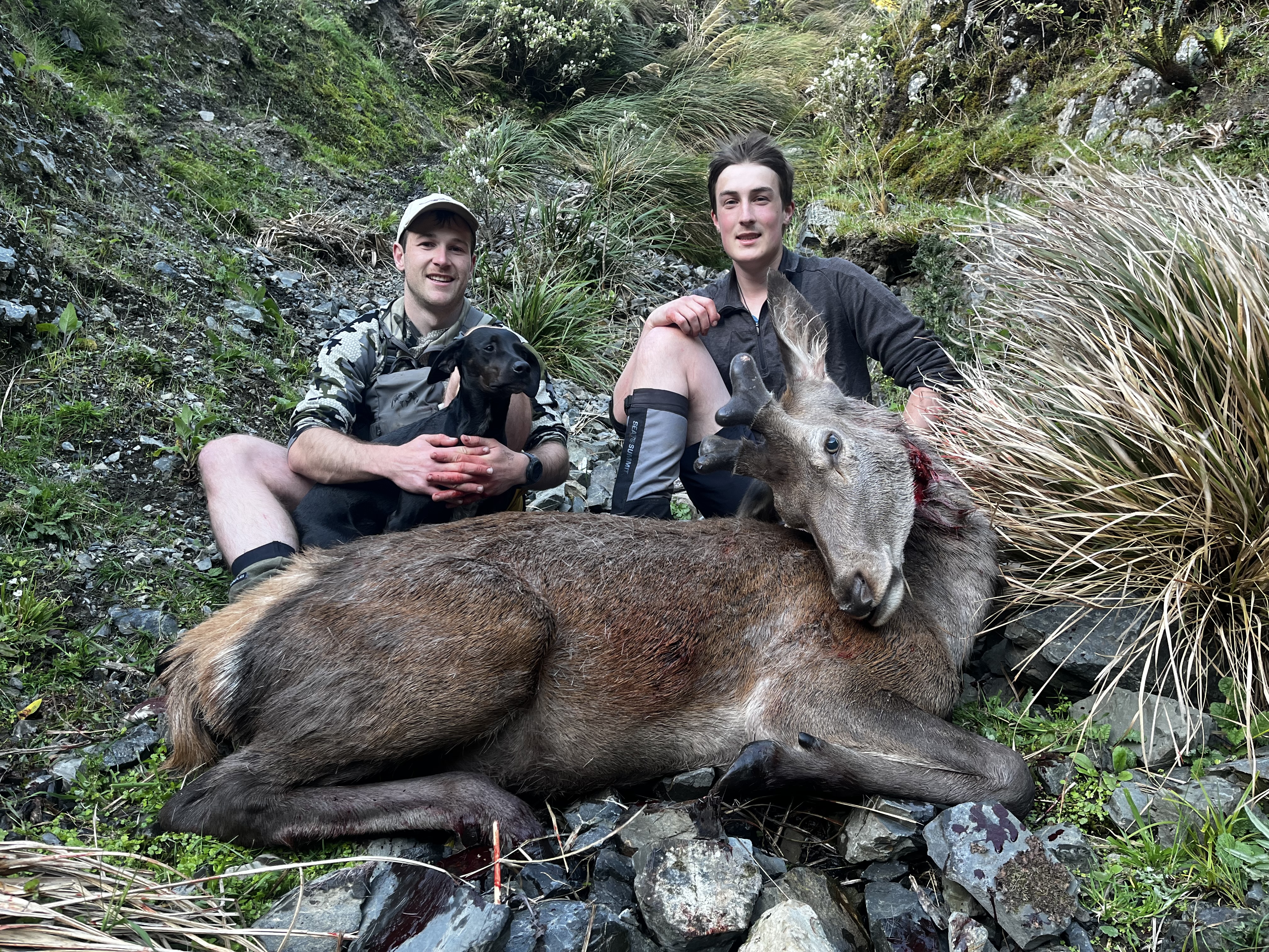 Name:  IMG_0972.jpeg
Views: 336
Size:  6.49 MB