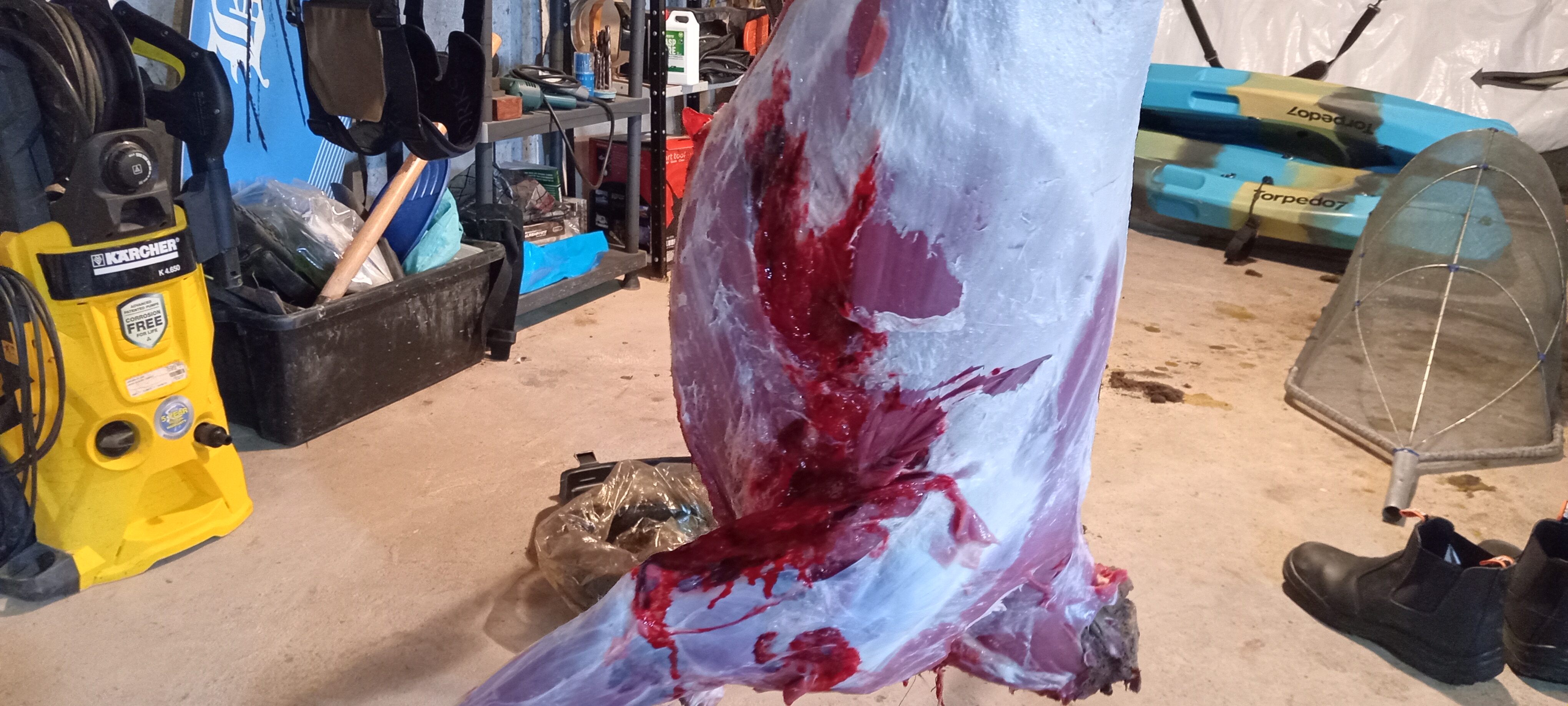 Name: 20251130_191113.jpg
Views: 194
Size: 2.00 MB