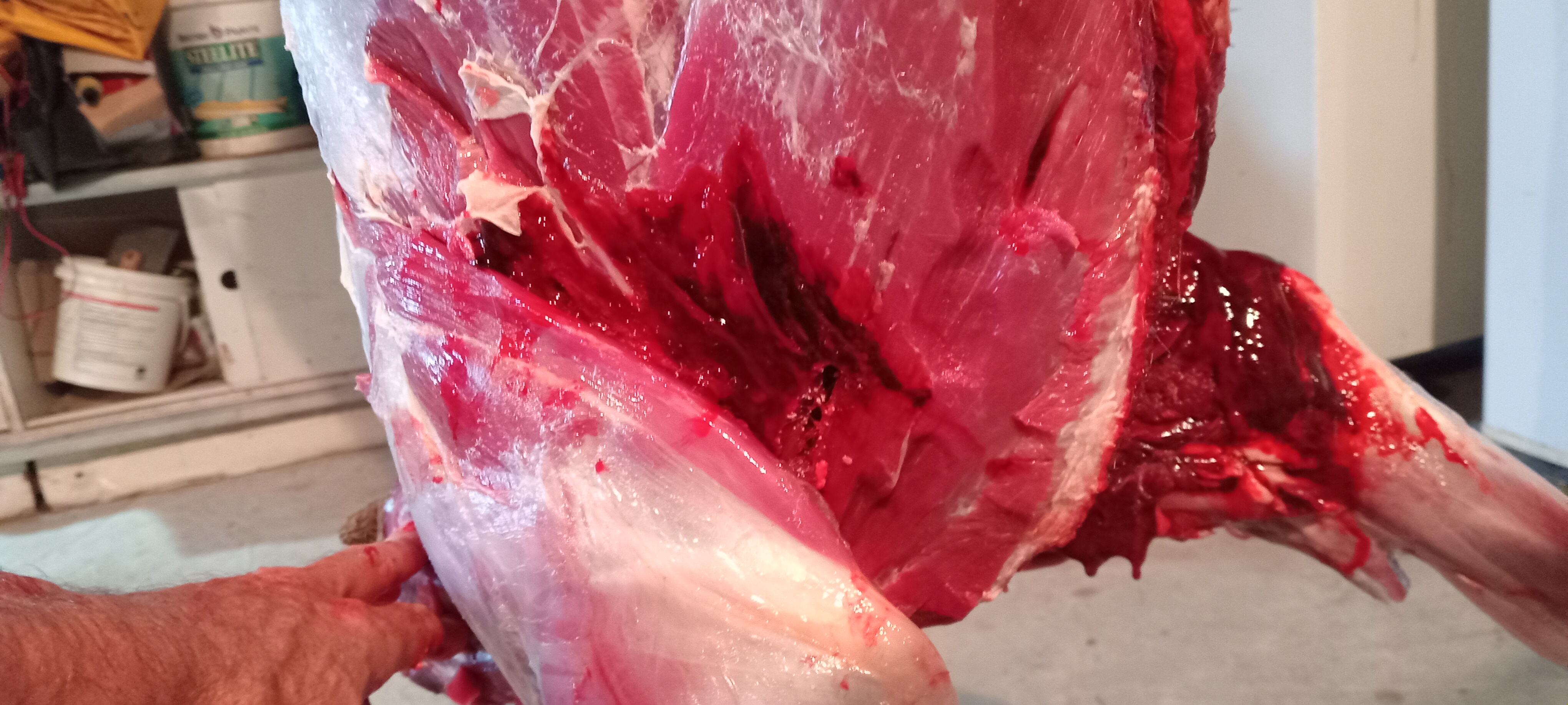 Name: 20251130_191133.jpg
Views: 195
Size: 1.82 MB