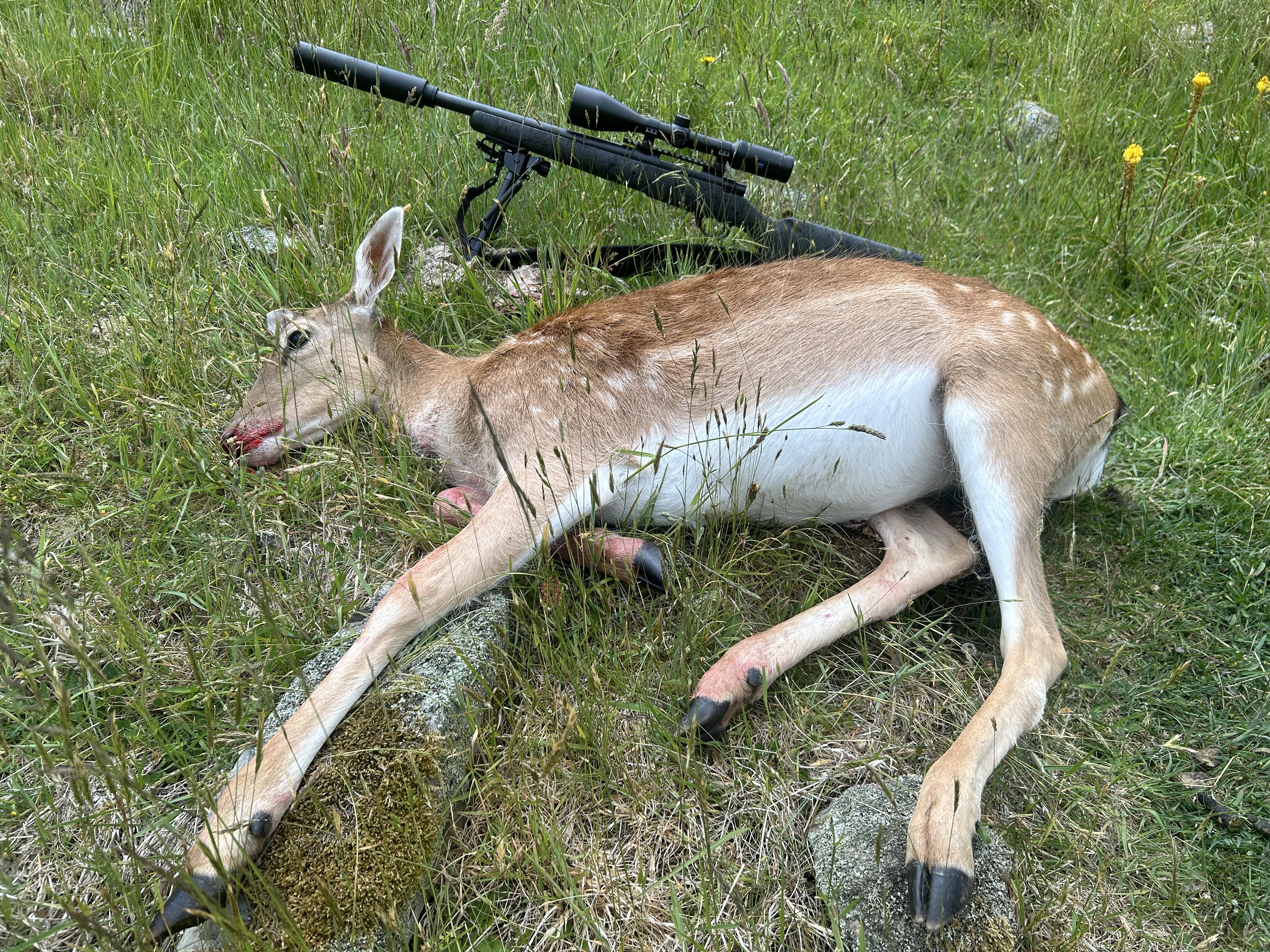 Name:  IMG_4880.jpeg
Views: 430
Size:  6.85 MB