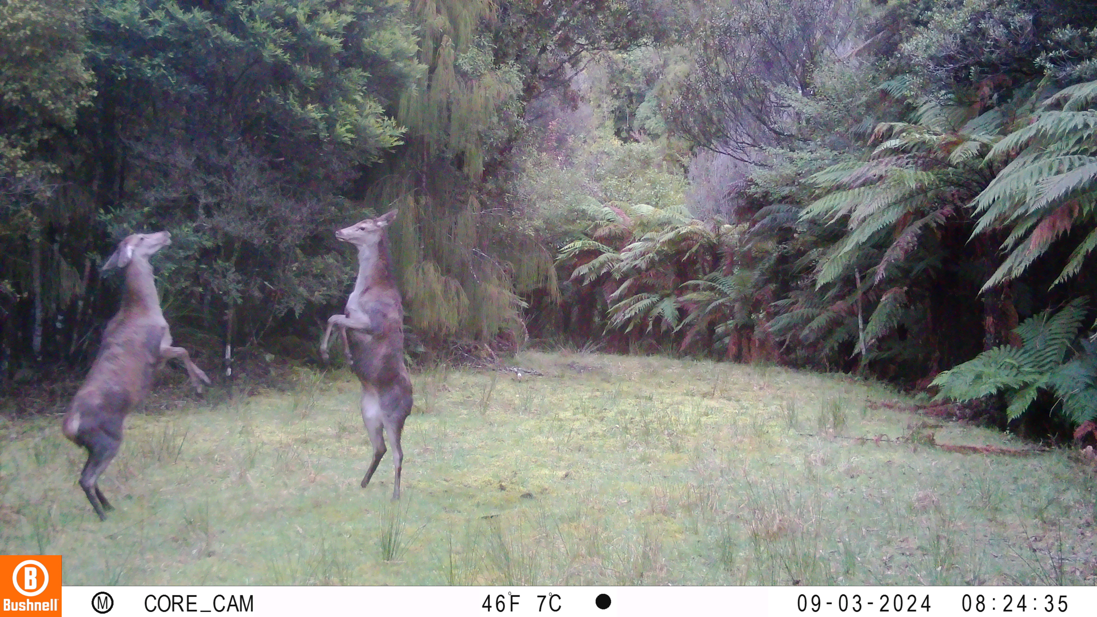 Name:  09030031.JPG
Views: 207
Size:  2.90 MB