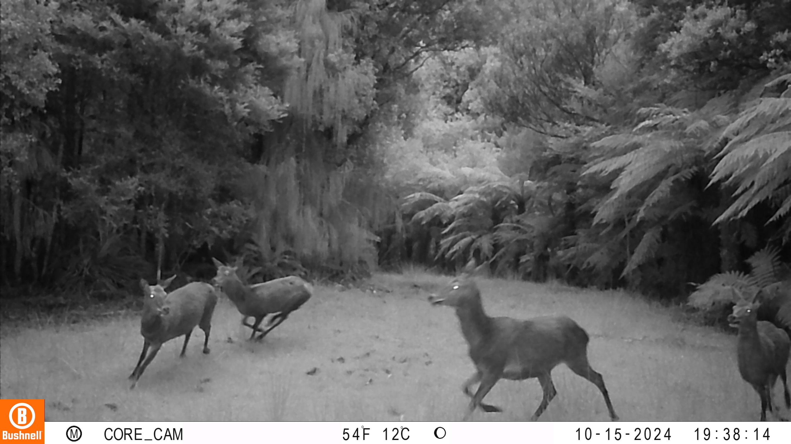 Name:  10150053.JPG
Views: 195
Size:  899.3 KB