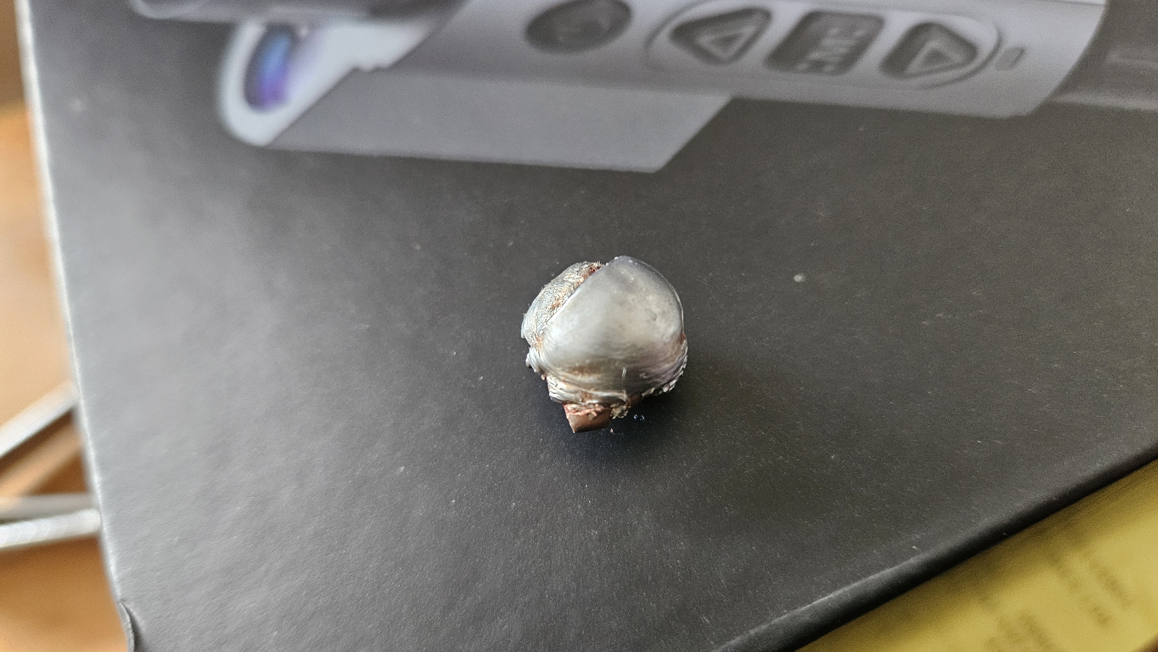 Name:  20260114_122232.jpg
Views: 108
Size:  3.40 MB