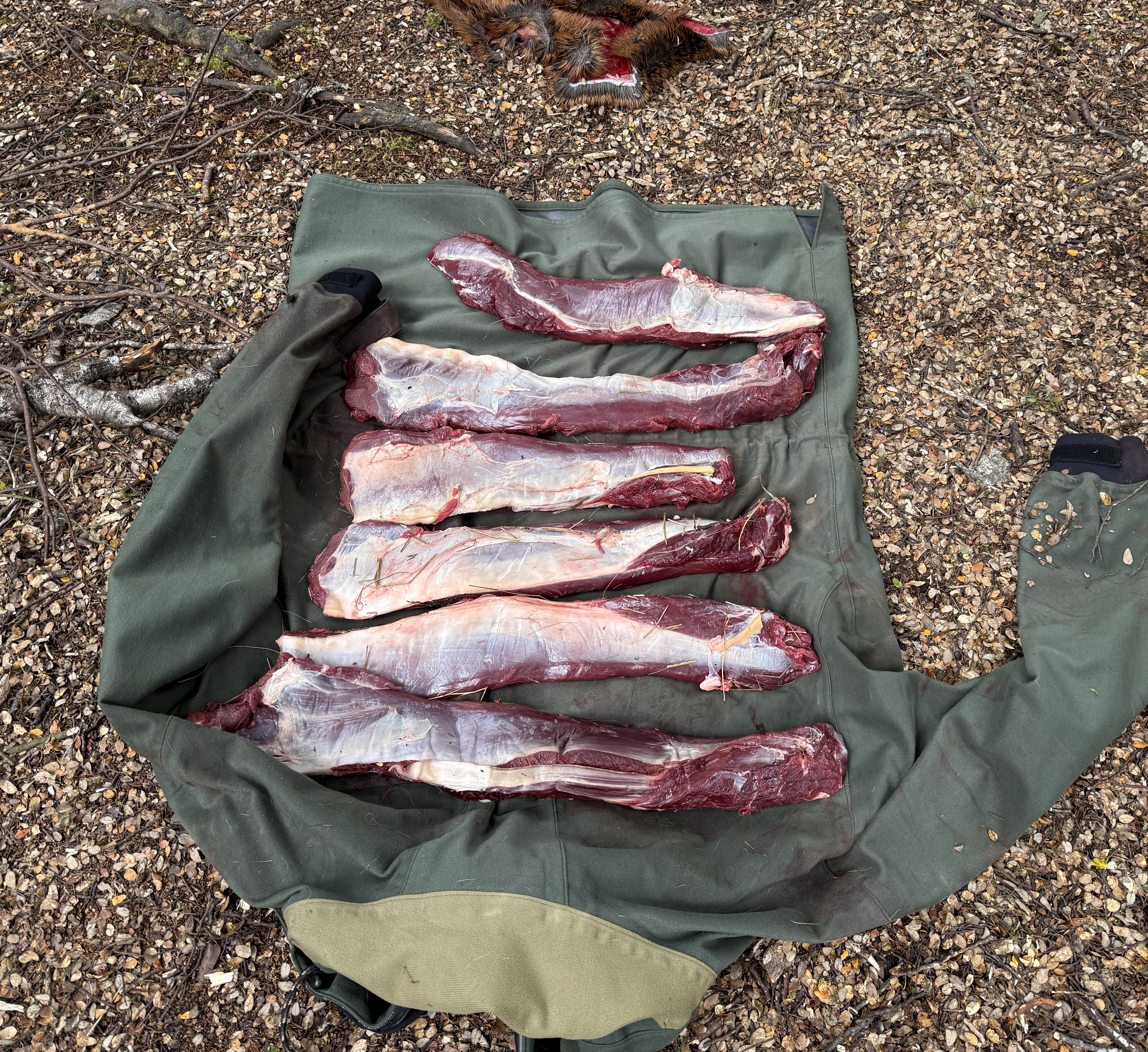 Name:  IMG_0984.jpeg
Views: 71
Size:  8.95 MB