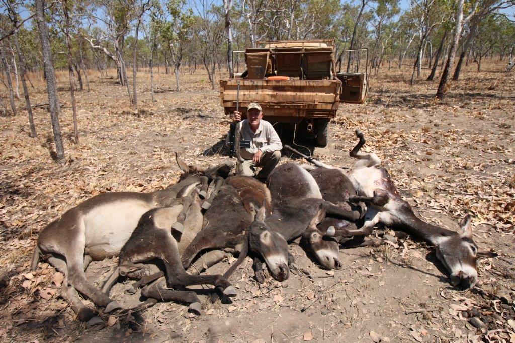 Name:  2014 NT Hunt 023.jpg
Views: 472
Size:  207.7 KB