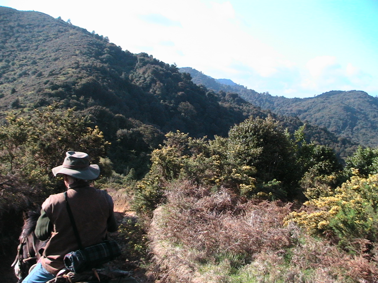 Name:  IMG_1550.JPG
Views: 627
Size:  453.1 KB