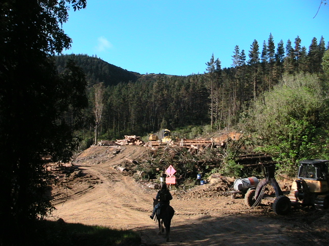 Name:  IMG_1559.JPG
Views: 657
Size:  441.4 KB