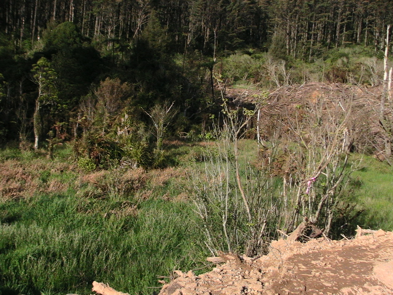 Name:  IMG_1562.JPG
Views: 676
Size:  552.1 KB