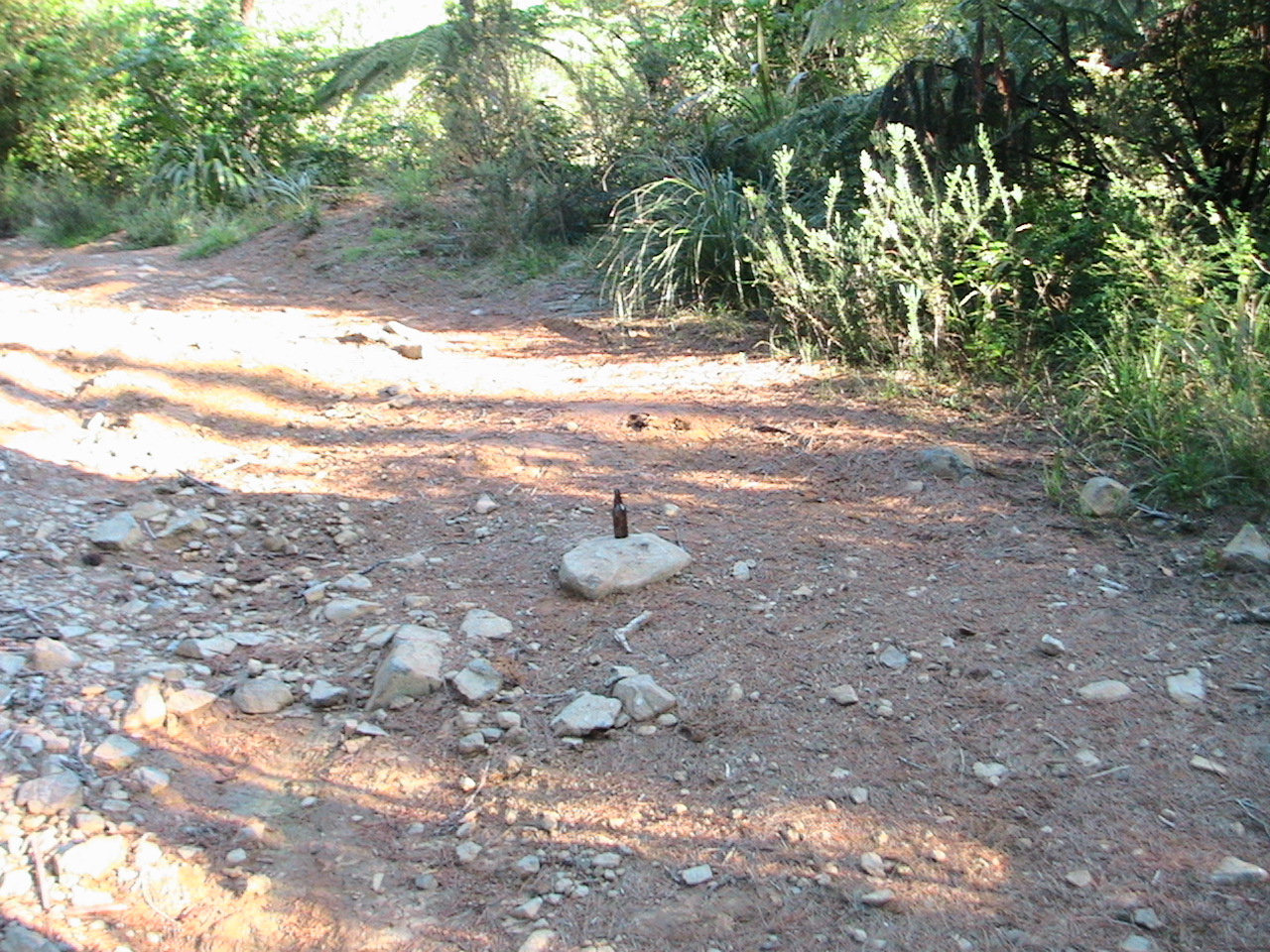 Name:  IMG_1565.JPG
Views: 279
Size:  584.9 KB