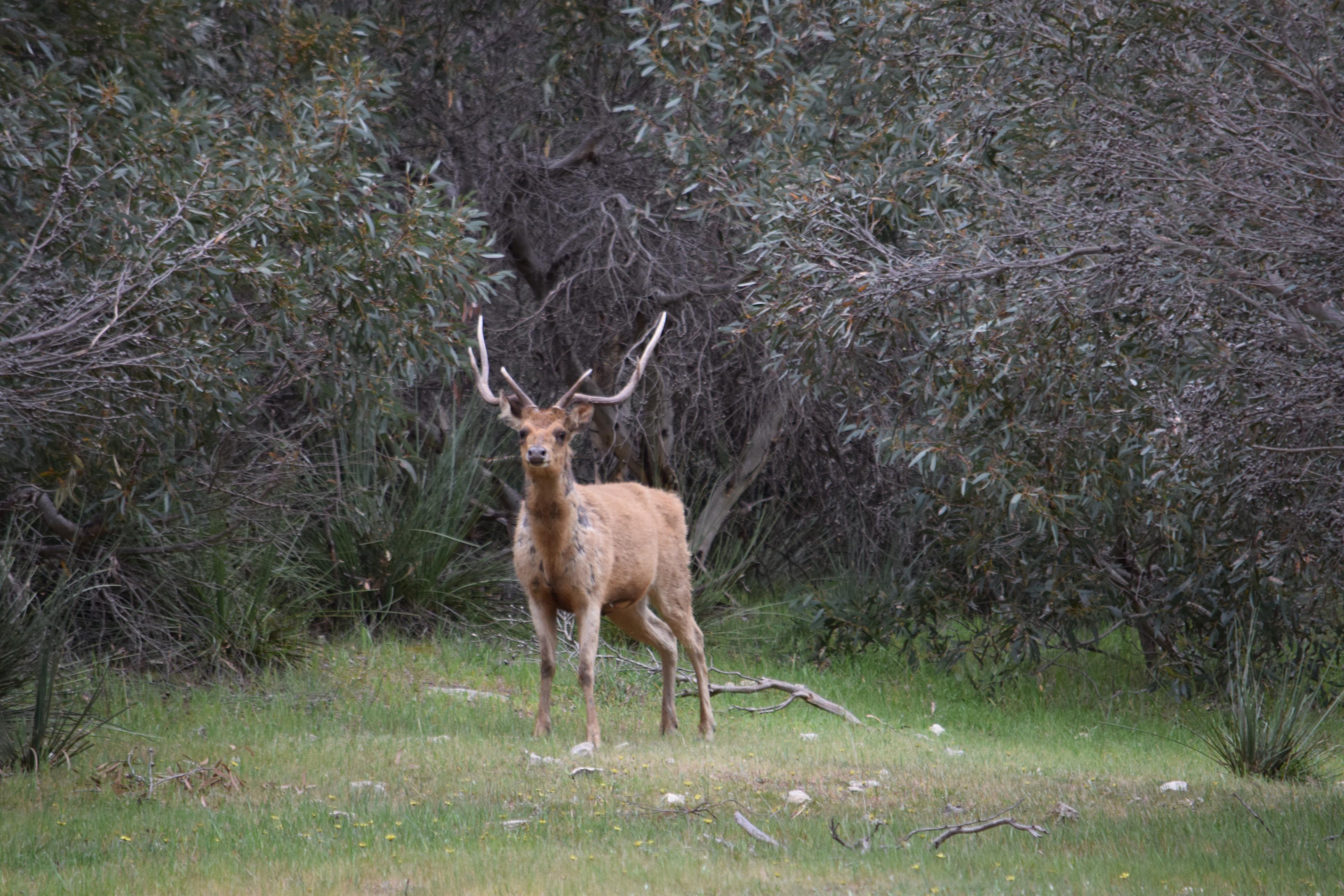 Name:  Ravaged from the rut.jpg
Views: 437
Size:  1.12 MB