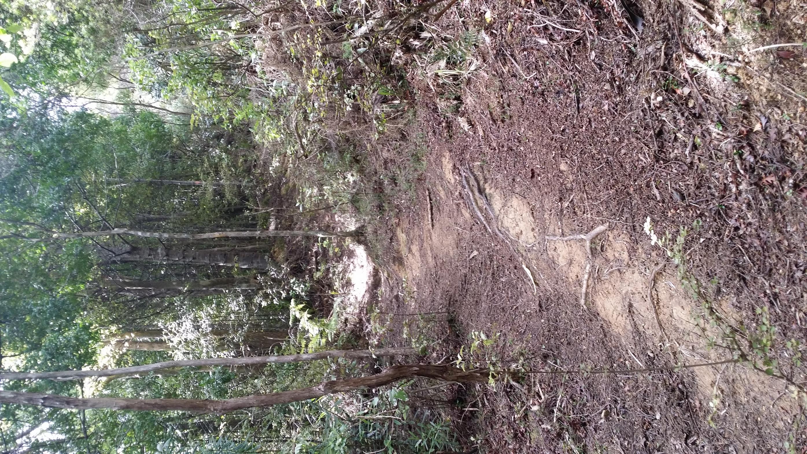 Name:  20141101_131730.jpg
Views: 750
Size:  1.15 MB