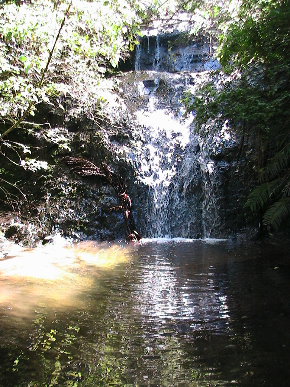Name:  IMG_0647.JPG
Views: 606
Size:  651.4 KB