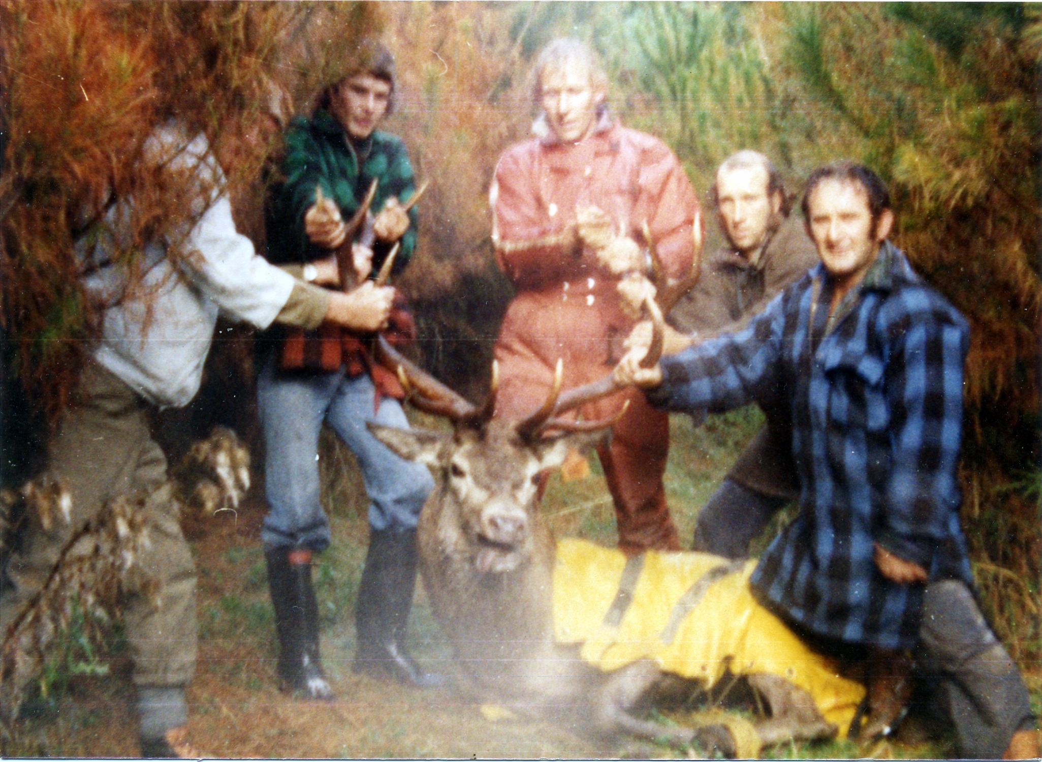Name:  Big stag.jpg
Views: 576
Size:  410.3 KB