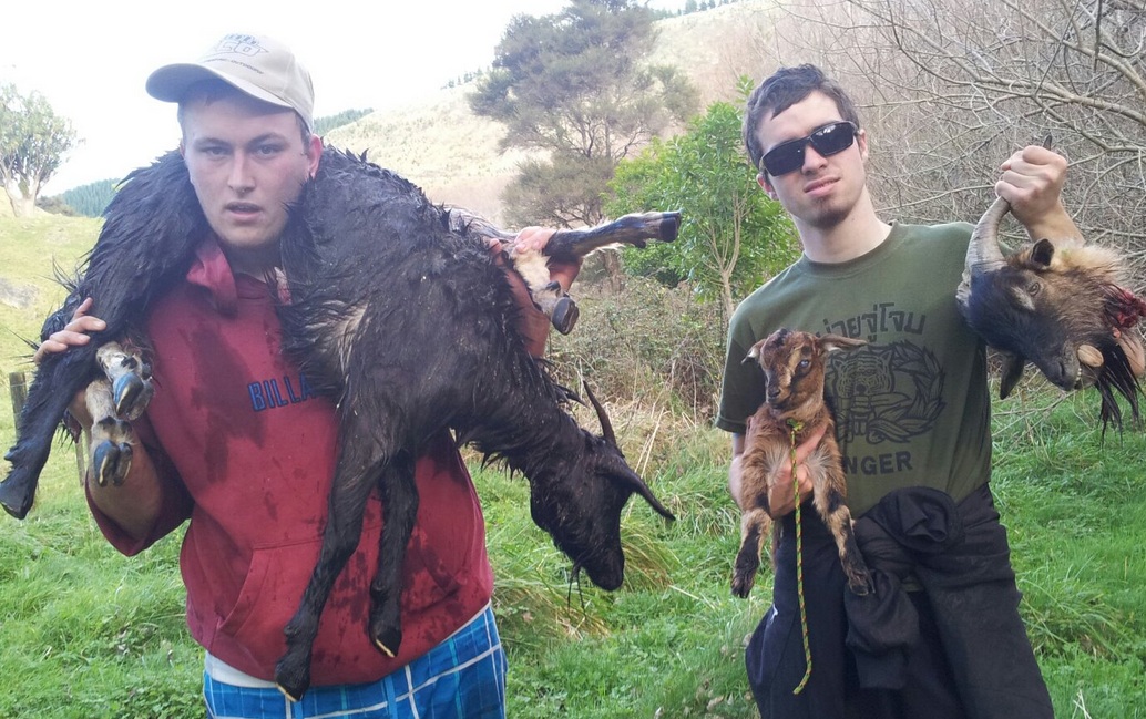 Name:  Hunting Photos.jpg
Views: 397
Size:  278.4 KB