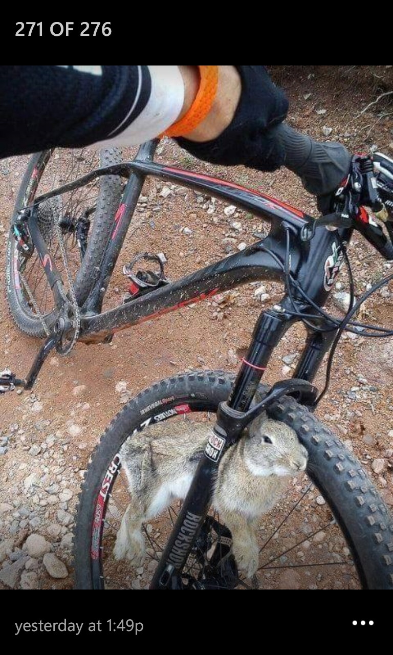 Name:  wabbit.jpg
Views: 389
Size:  293.5 KB