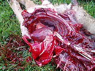 Name:  P1010001.jpg
Views: 2311
Size:  58.6 KB