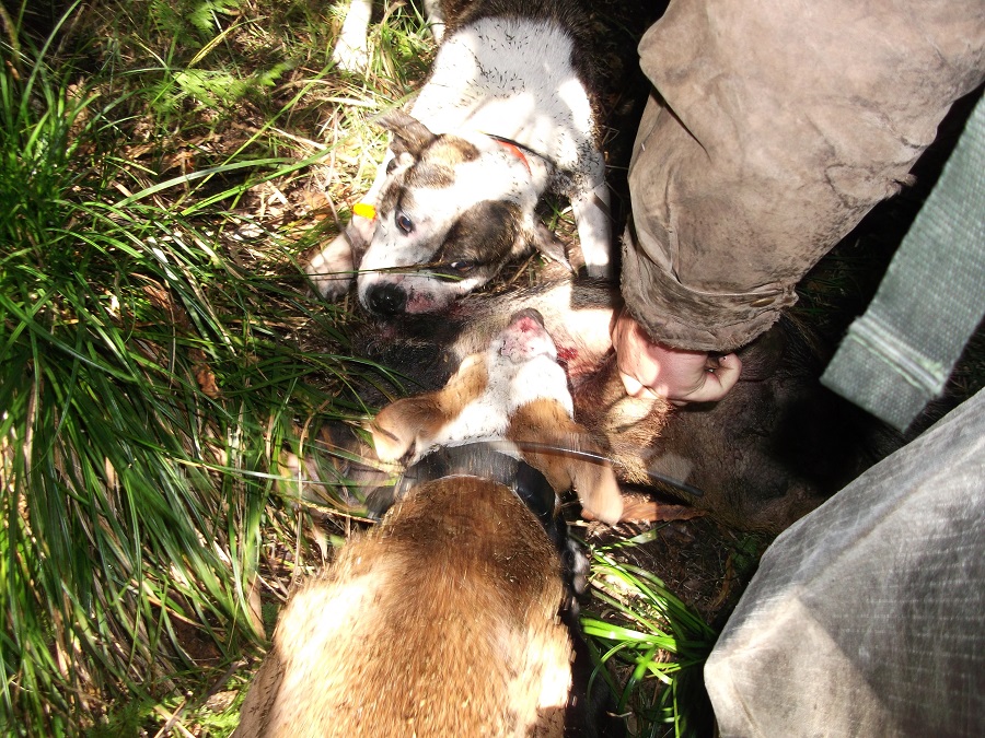 Name:  DSCF0387.jpg
Views: 348
Size:  426.5 KB