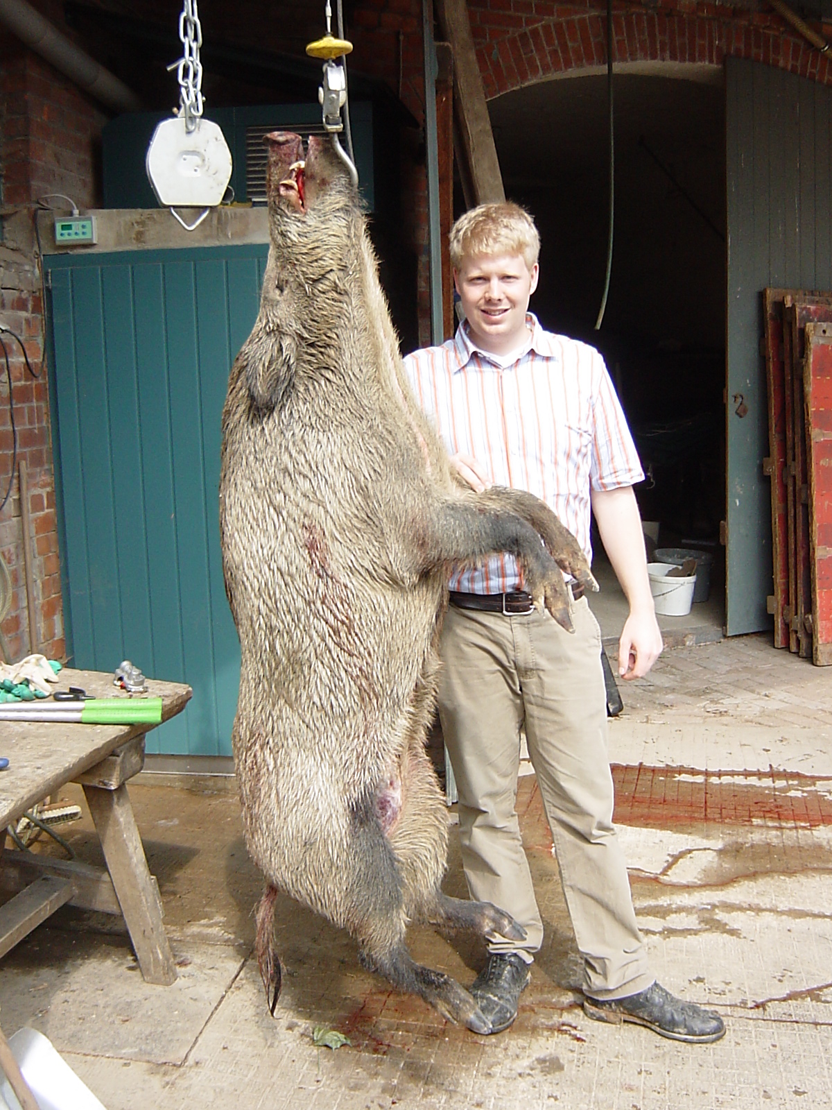 Name:  max+Wildschwein+005.jpg
Views: 1545
Size:  881.3 KB