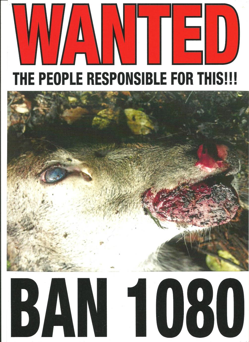Name:  Wanted.jpg
Views: 316
Size:  195.2 KB