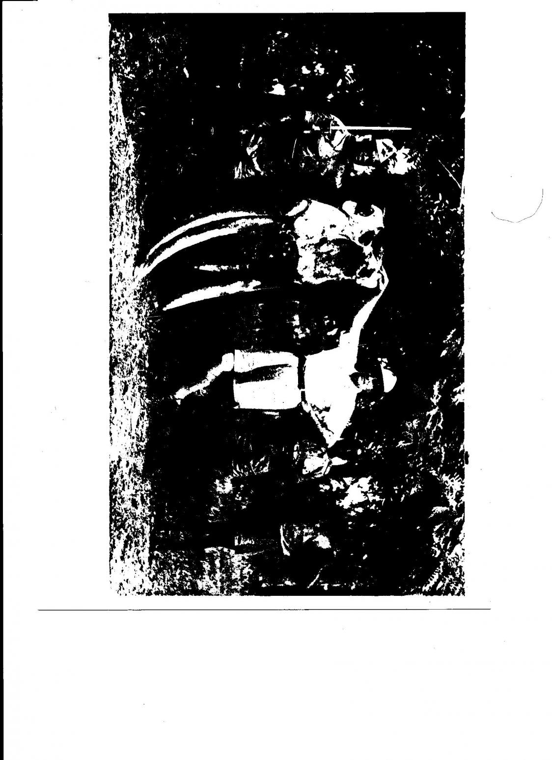 Name:  jumbo2.jpg
Views: 597
Size:  190.5 KB
