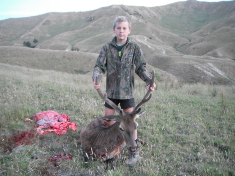 Name:  Jordans deer.jpg
Views: 1210
Size:  166.8 KB