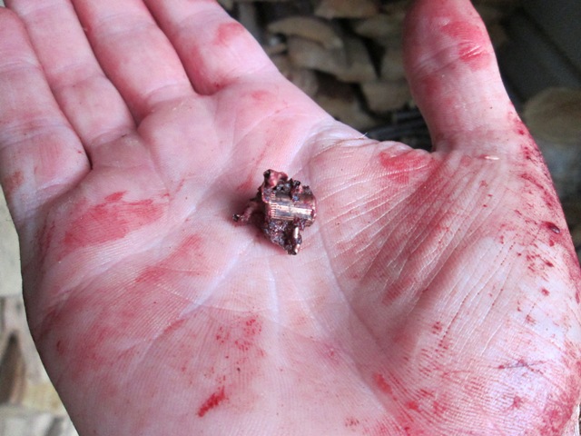 Name:  recovered bullet.JPG
Views: 742
Size:  102.5 KB