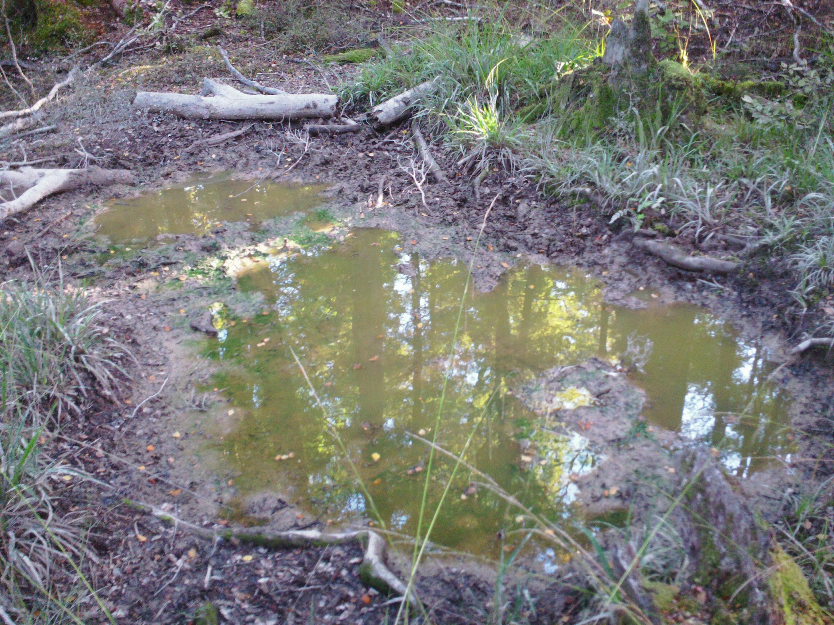 Name:  SAM_0346.jpg
Views: 989
Size:  938.5 KB