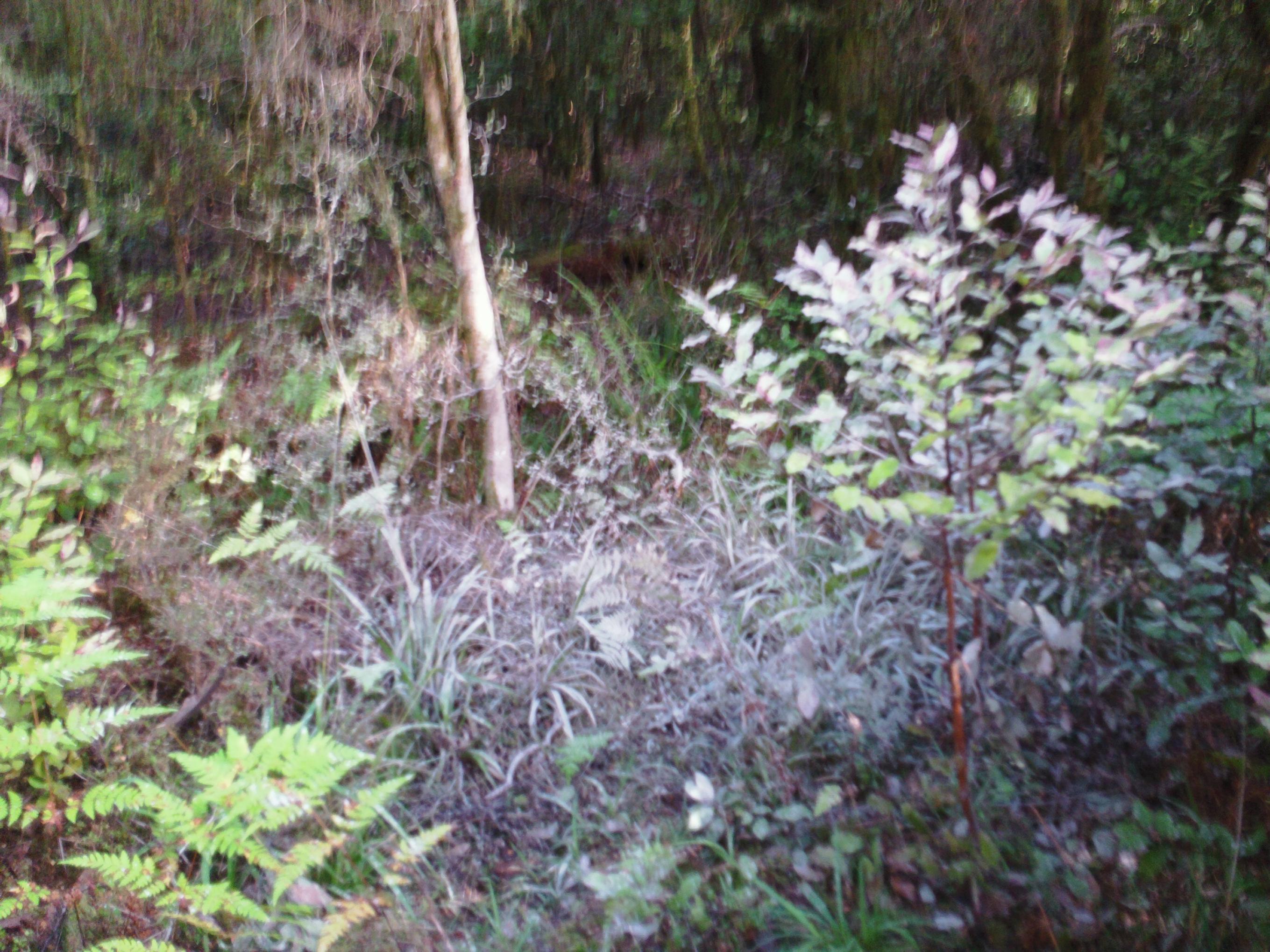 Name:  SAM_0351.jpg
Views: 1015
Size:  690.9 KB