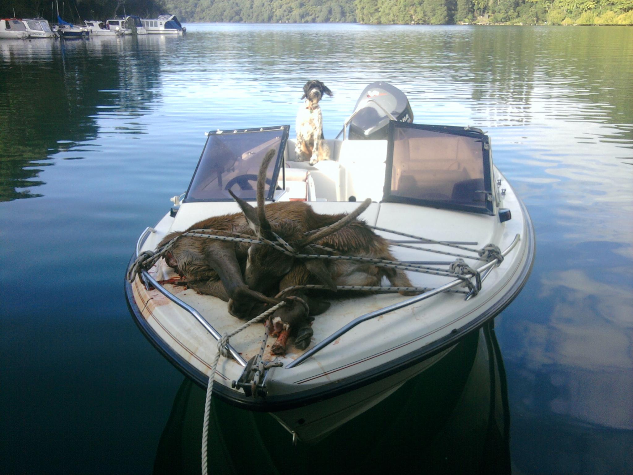 Name:  Photo002.jpg
Views: 504
Size:  309.4 KB