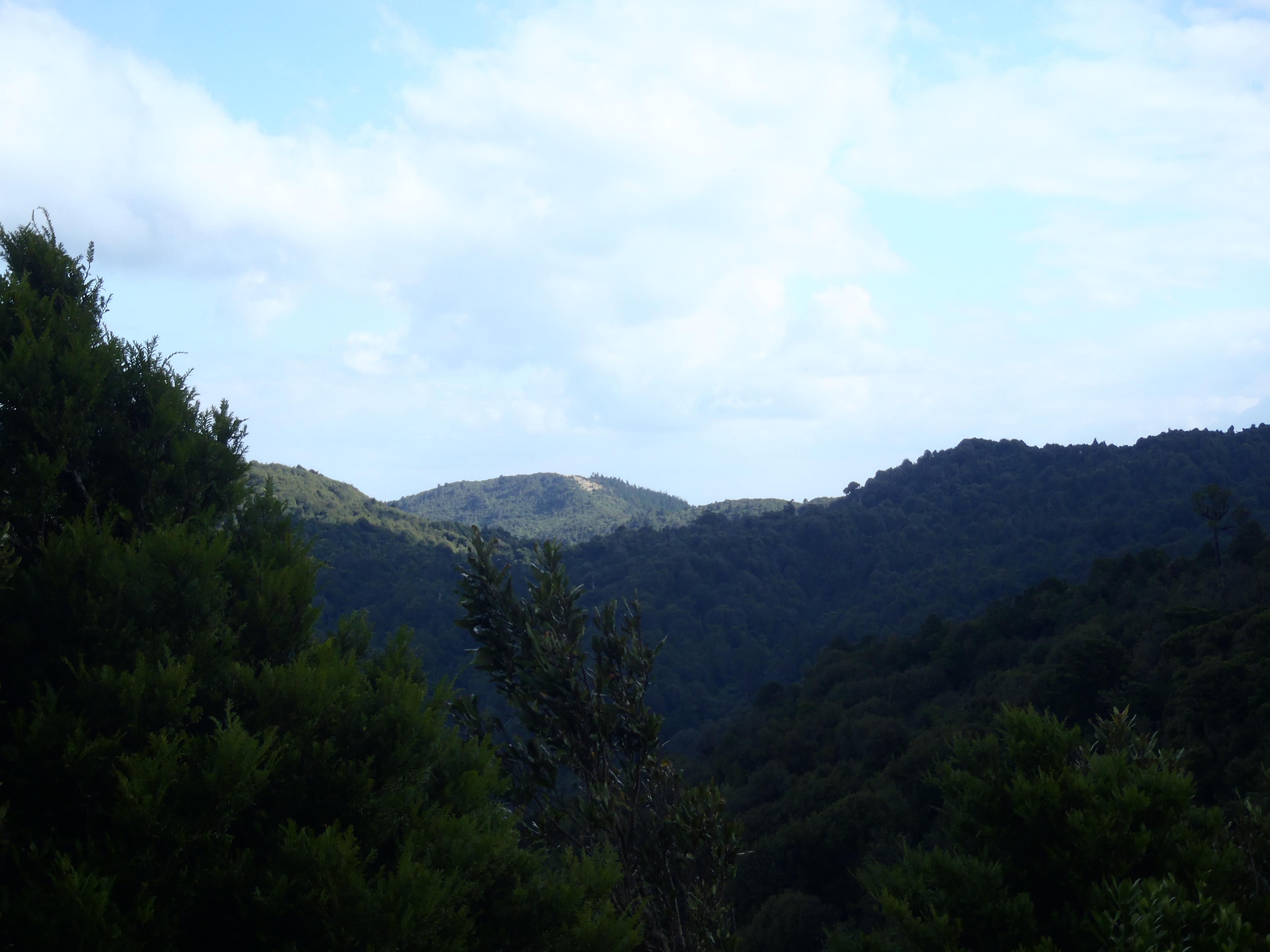 Name:  009.jpg
Views: 701
Size:  570.6 KB