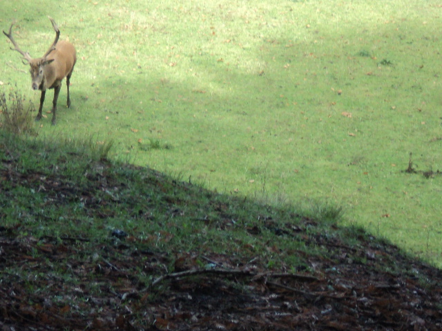 Name:  picture 5573.jpg
Views: 785
Size:  163.8 KB