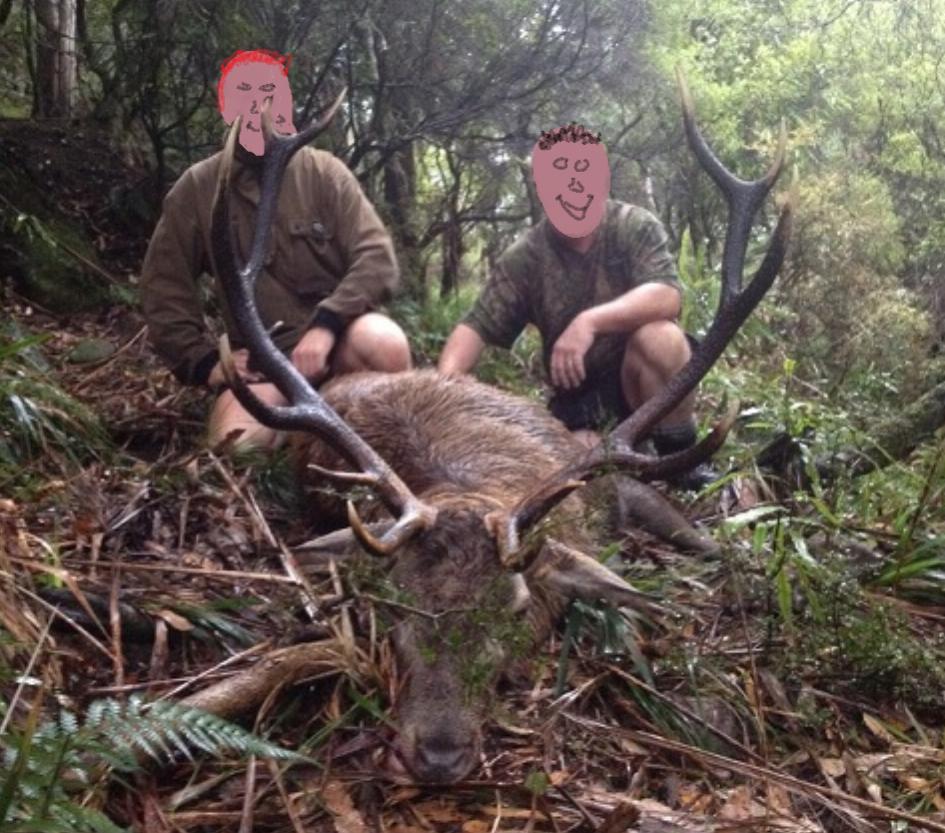 Name:  Ruahine_Rat_10-4-15.jpg
Views: 813
Size:  132.8 KB